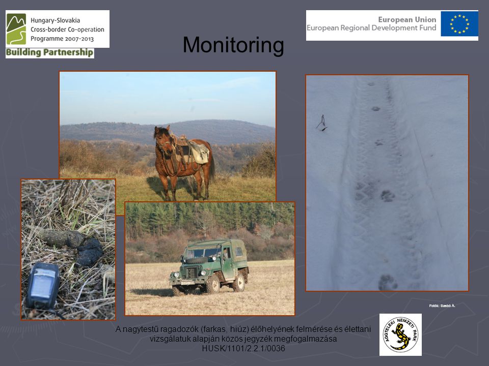 Monitoring Fotók: Szabó Á. A nagytestű ragadozók (farkas, hiúz) élőhelyének felmérése és élettani vizsgálatuk alapján közös jegyzék megfogalmazása.