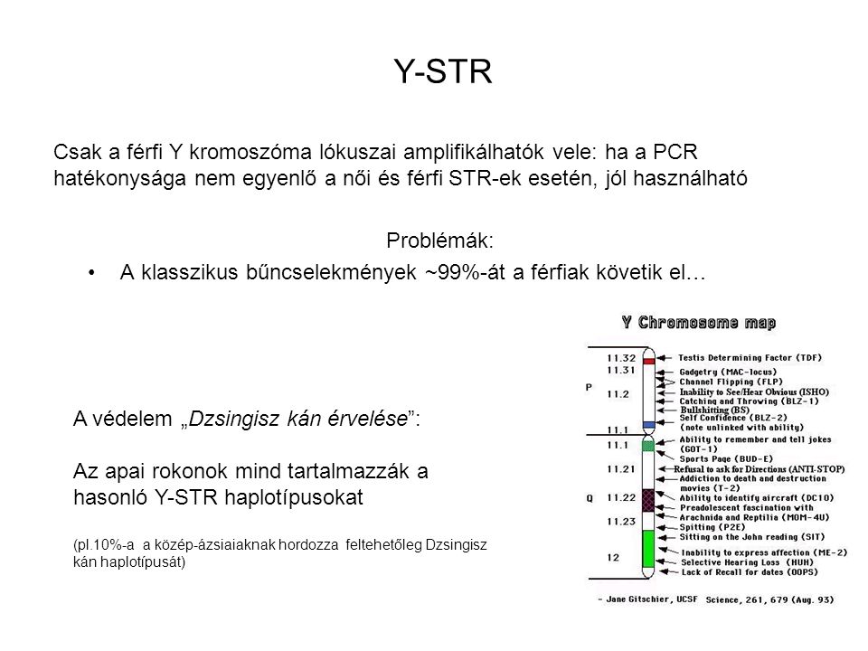 Y-STR Csak a férfi Y kromoszóma lókuszai amplifikálhatók vele: ha a PCR hatékonysága nem egyenlő a női és férfi STR-ek esetén, jól használható.