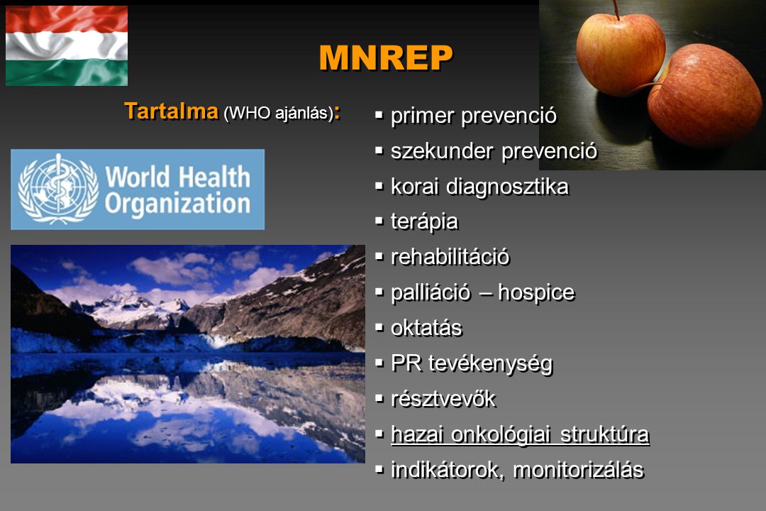 MNREP Tartalma (WHO ajánlás): primer prevenció szekunder prevenció
