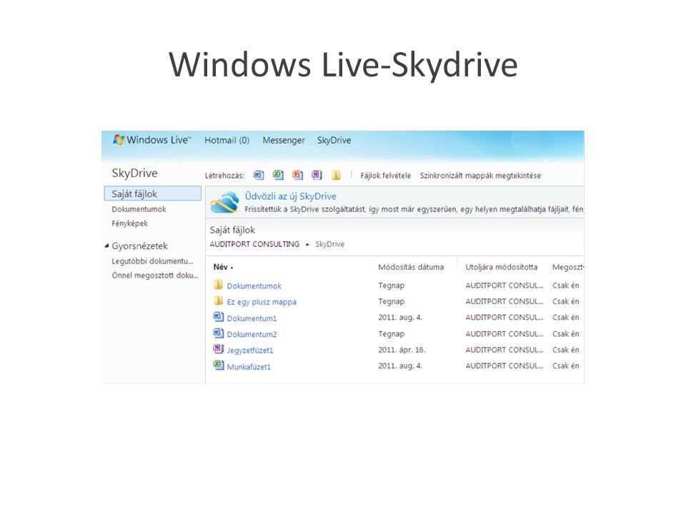 Windows Live-Skydrive