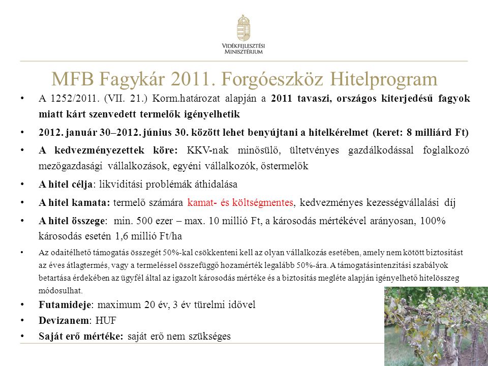 MFB Fagykár Forgóeszköz Hitelprogram