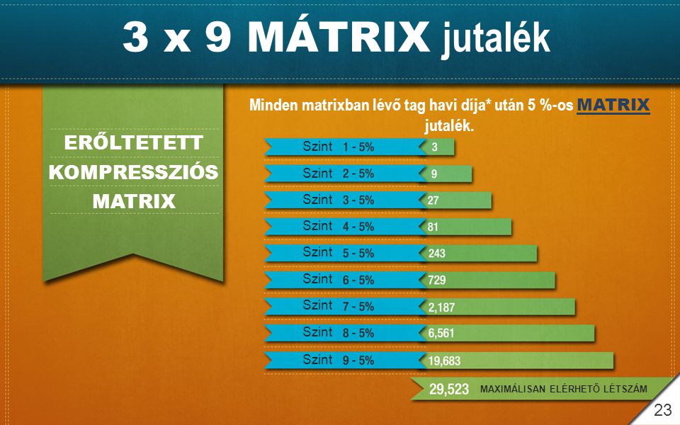 Minden matrixban lévő tag havi díja* után 5 %-os MATRIX jutalék.