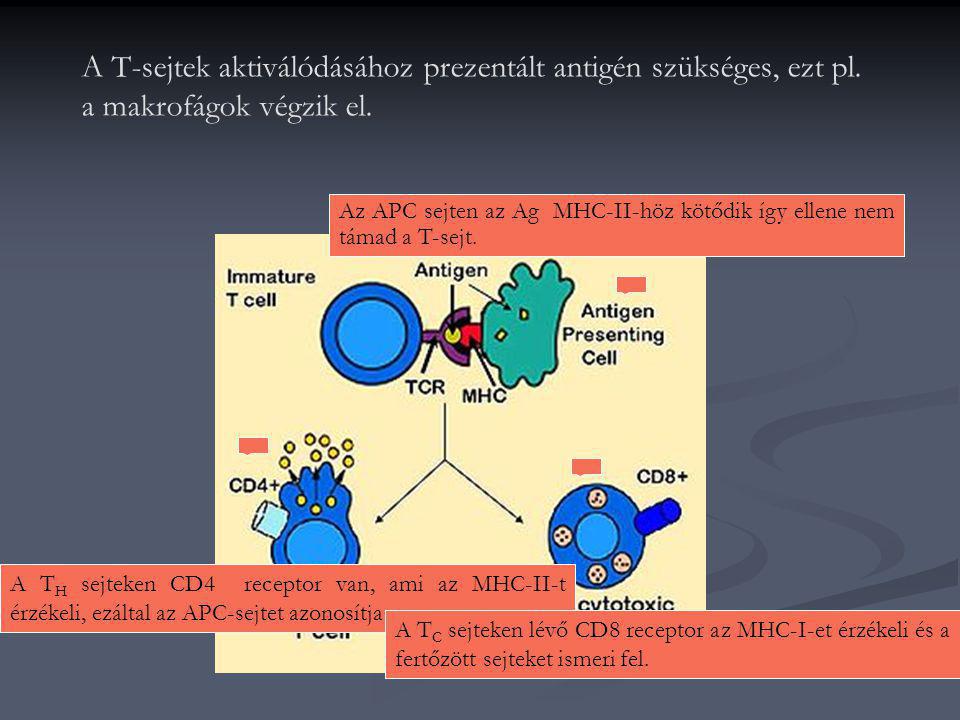 A T-sejtek aktiválódásához prezentált antigén szükséges, ezt pl