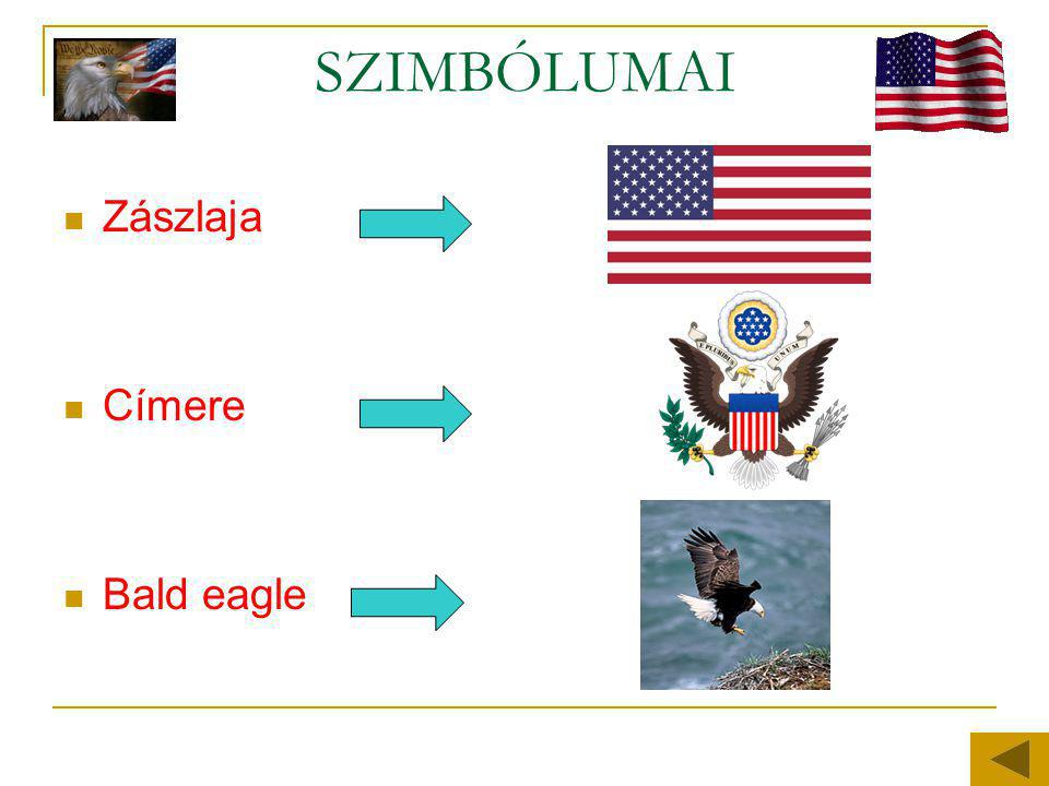SZIMBÓLUMAI Zászlaja Címere Bald eagle