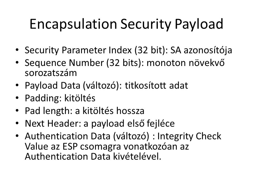 Encapsulation Security Payload