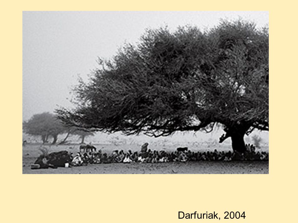 Darfuriak, 2004