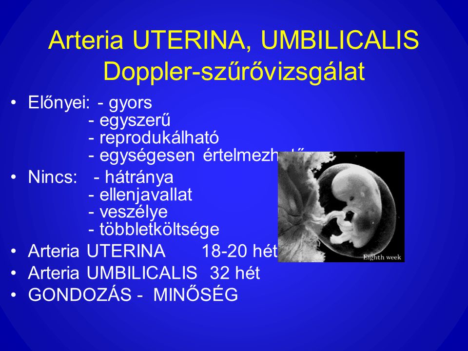 Arteria UTERINA, UMBILICALIS Doppler-szűrővizsgálat