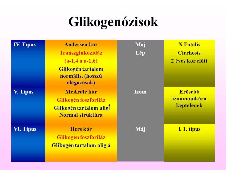 Glikogenózisok IV. Típus Andersen kór Transzglukozidáz (a-1,4 à a-1,6)