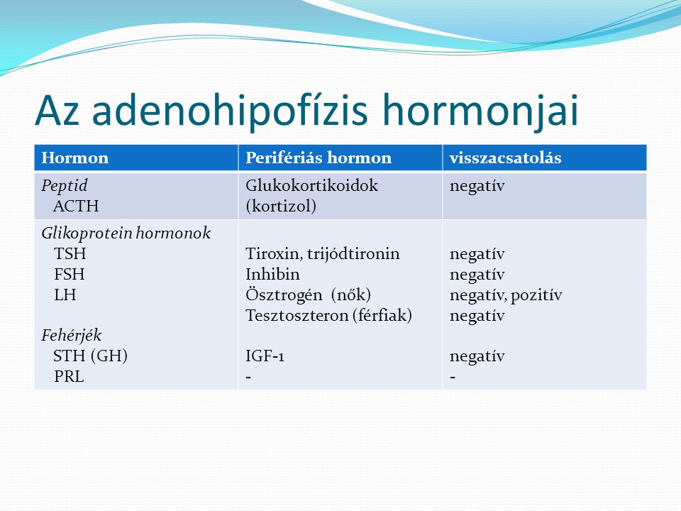 Az adenohipofízis hormonjai