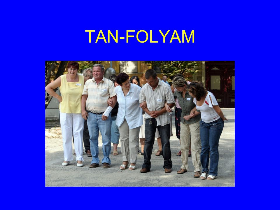 TAN-FOLYAM