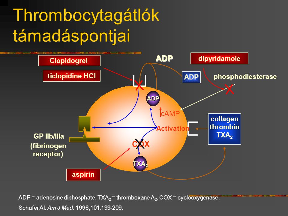 Thrombocytagátlók támadáspontjai