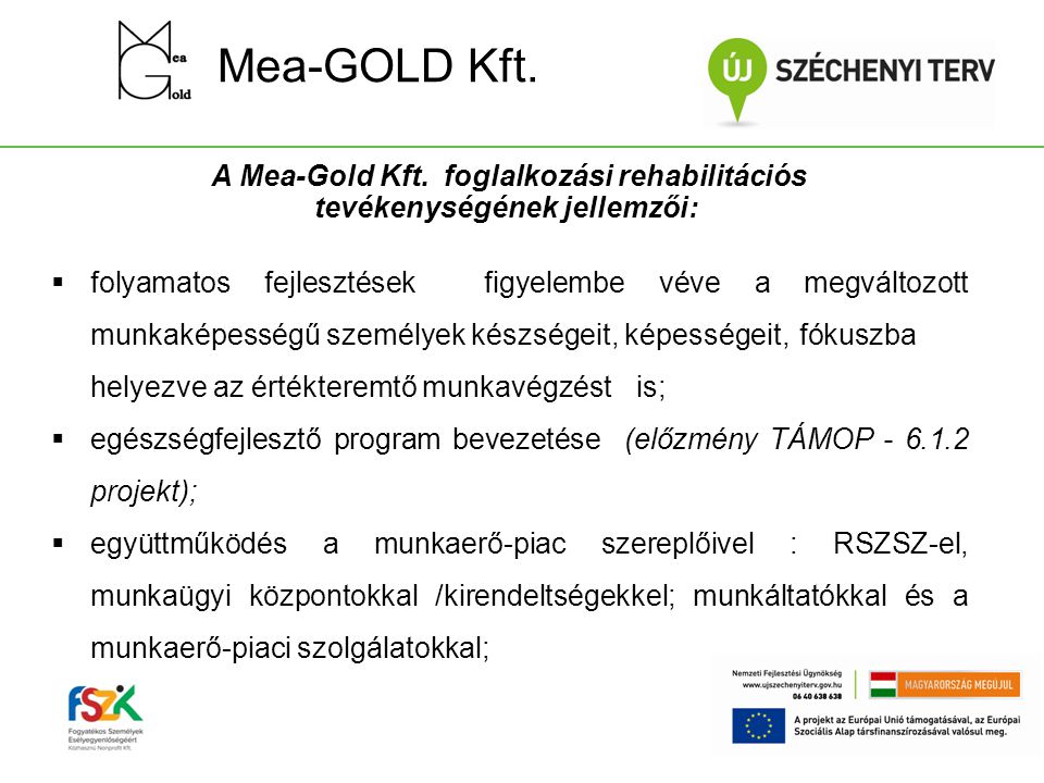A Mea-Gold Kft. foglalkozási rehabilitációs tevékenységének jellemzői: