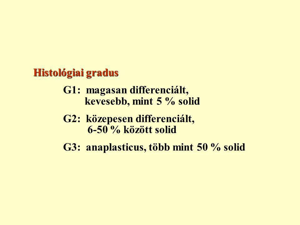 Histológiai gradus G1: magasan differenciált, kevesebb, mint 5 % solid. G2: közepesen differenciált, 6-50 % között solid.
