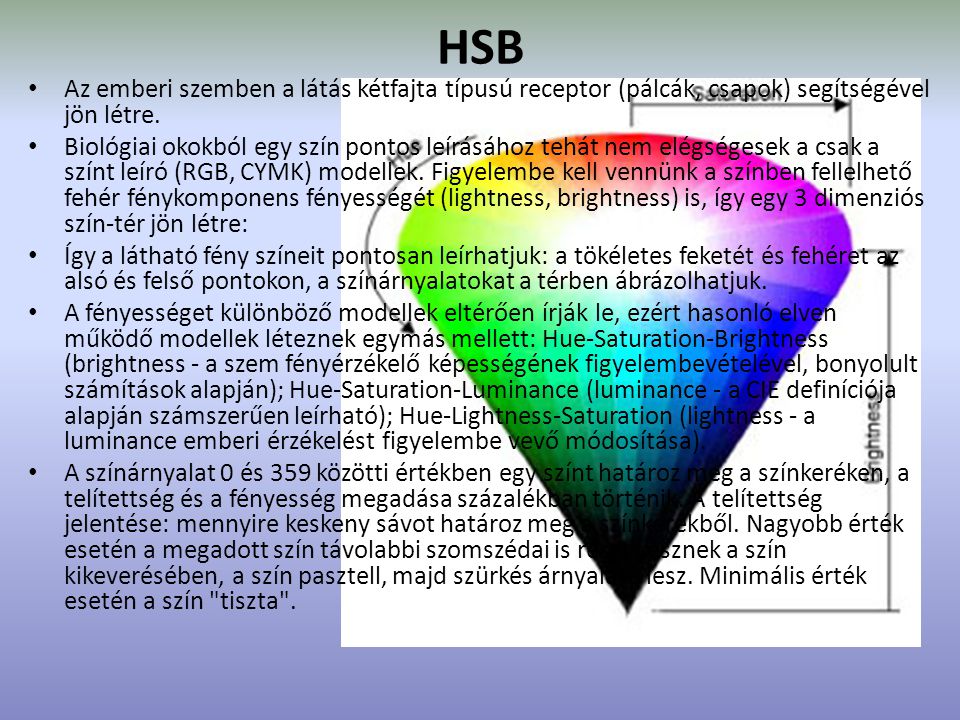 HSB Az emberi szemben a látás kétfajta típusú receptor (pálcák, csapok) segítségével jön létre.