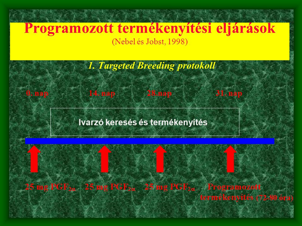 Programozott termékenyítési eljárások (Nebel és Jobst, 1998)