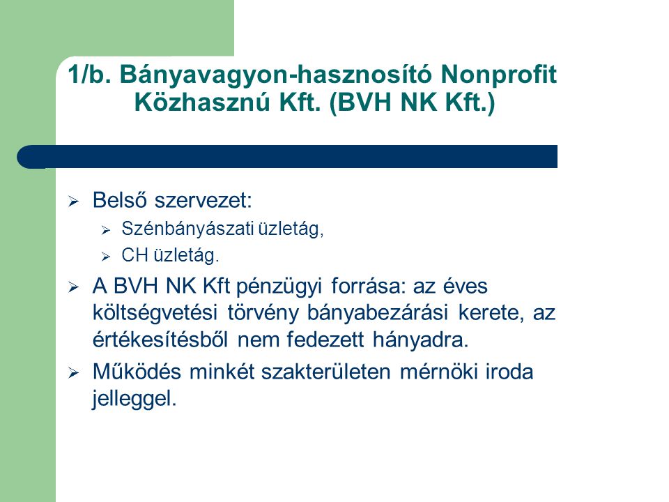 1/b. Bányavagyon-hasznosító Nonprofit Közhasznú Kft. (BVH NK Kft.)