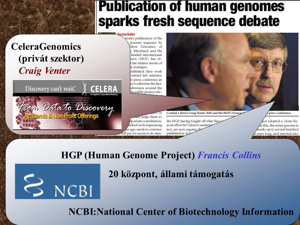 CeleraGenomics (privát szektor) Craig Venter. HGP (Human Genome Project) Francis Collins. 20 központ, állami támogatás.