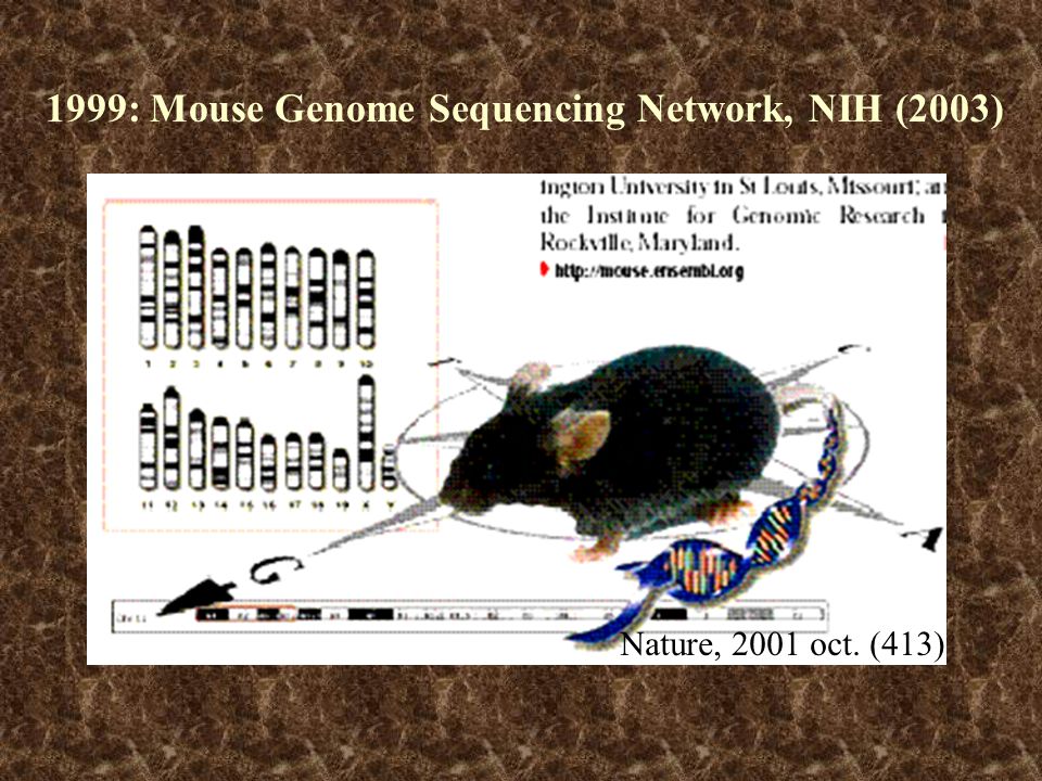 1999: Mouse Genome Sequencing Network, NIH (2003)