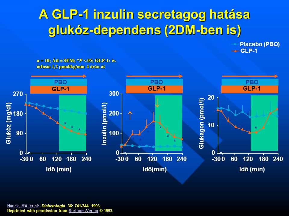 A GLP-1 inzulin secretagog hatása glukóz-dependens (2DM-ben is)