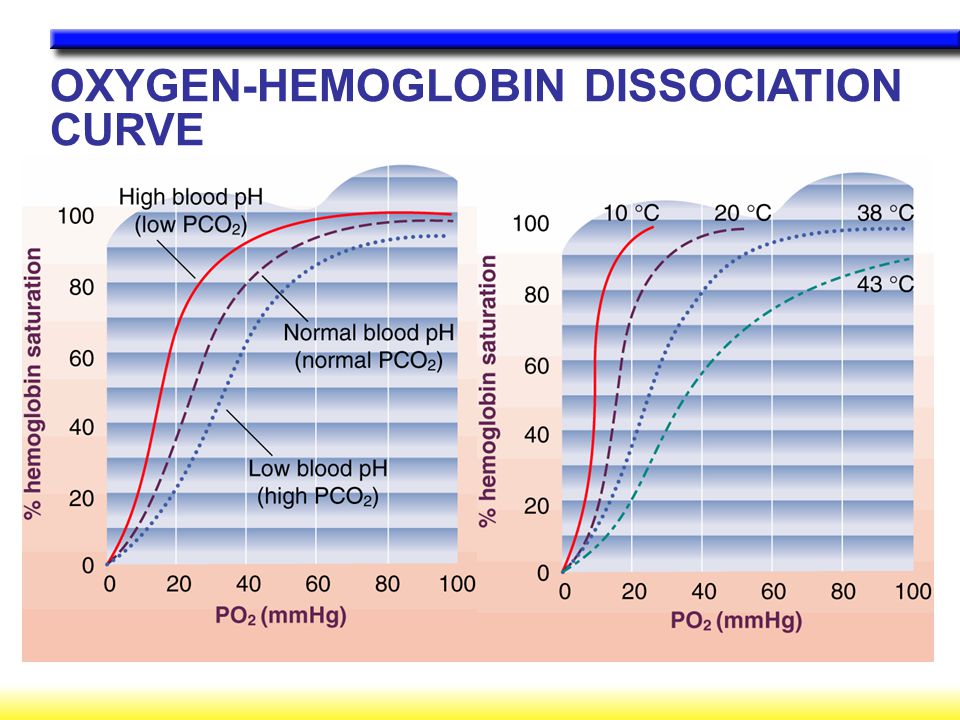 OXYGEN-HEMOGLOBIN DISSOCIATION CURVE