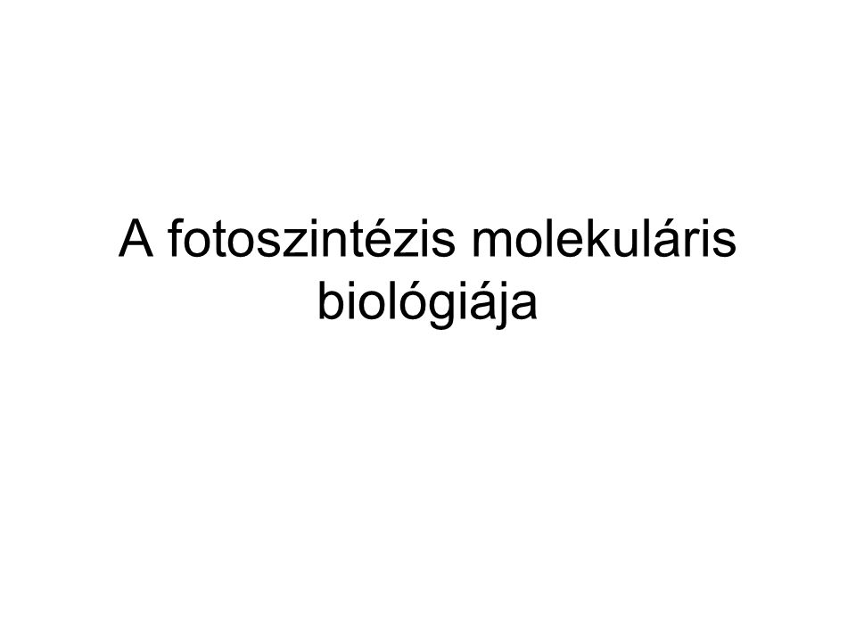 A fotoszintézis molekuláris biológiája