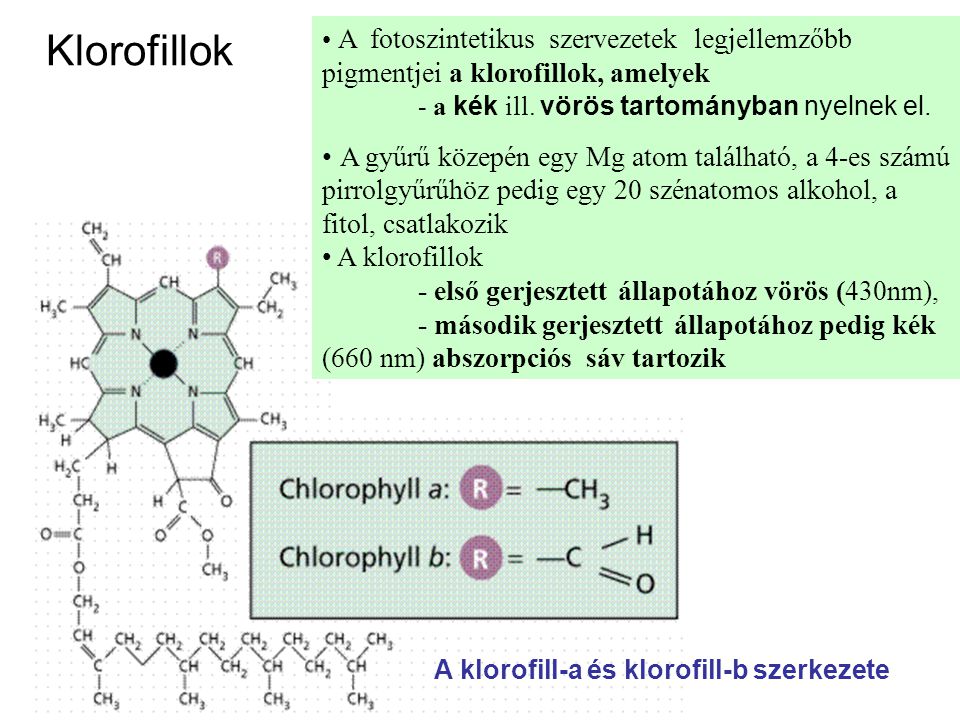 A fotoszintetikus szervezetek legjellemzőbb pigmentjei a klorofillok, amelyek - a kék ill. vörös tartományban nyelnek el.