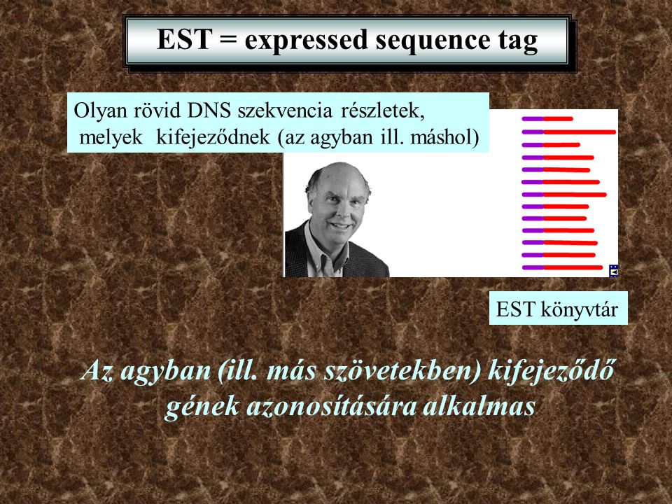 EST = expressed sequence tag