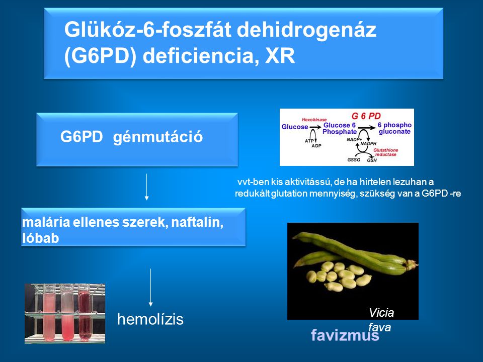Glükóz-6-foszfát dehidrogenáz (G6PD) deficiencia, XR