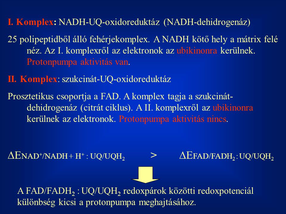 DENAD+/NADH + H+ : UQ/UQH2 > DEFAD/FADH2 : UQ/UQH2