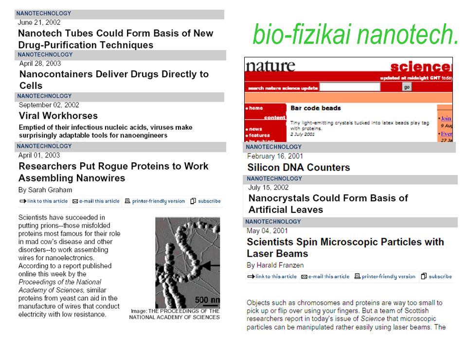 bio-fizikai nanotech. példák