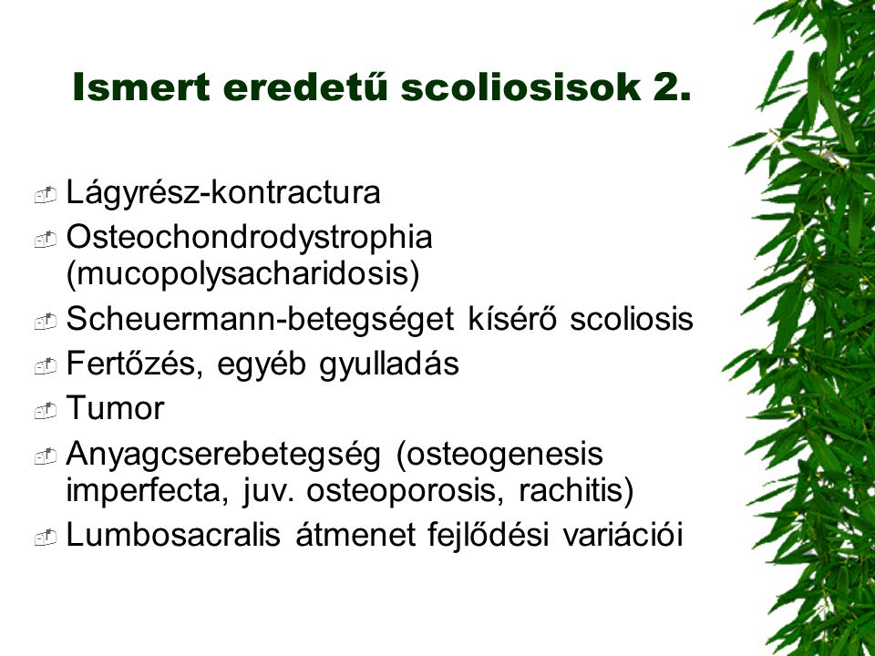Ismert eredetű scoliosisok 2.