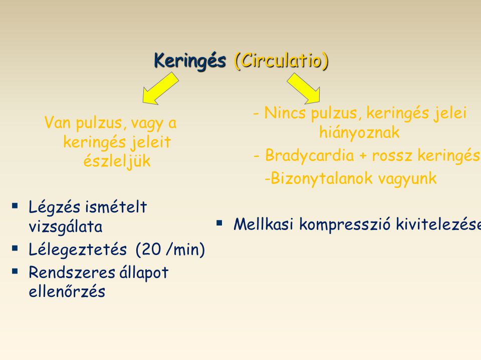 Keringés (Circulatio)
