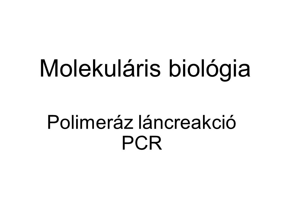 Polimeráz láncreakció PCR