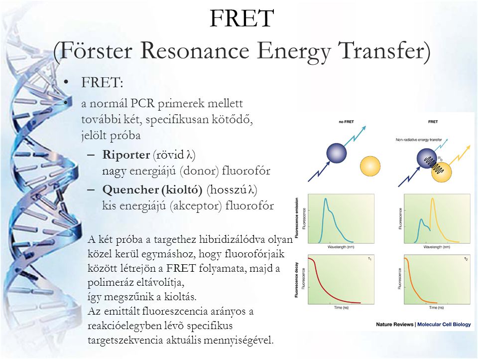 FRET (Förster Resonance Energy Transfer)