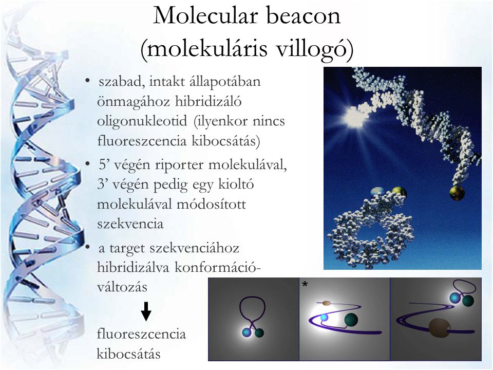 Molecular beacon (molekuláris villogó)