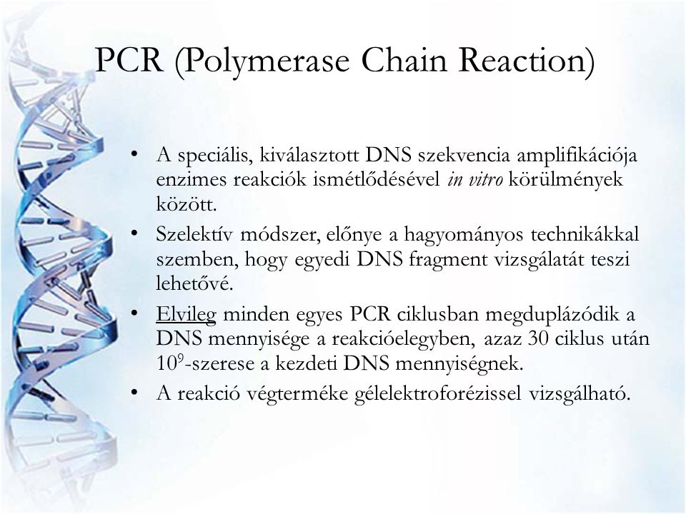 PCR (Polymerase Chain Reaction)