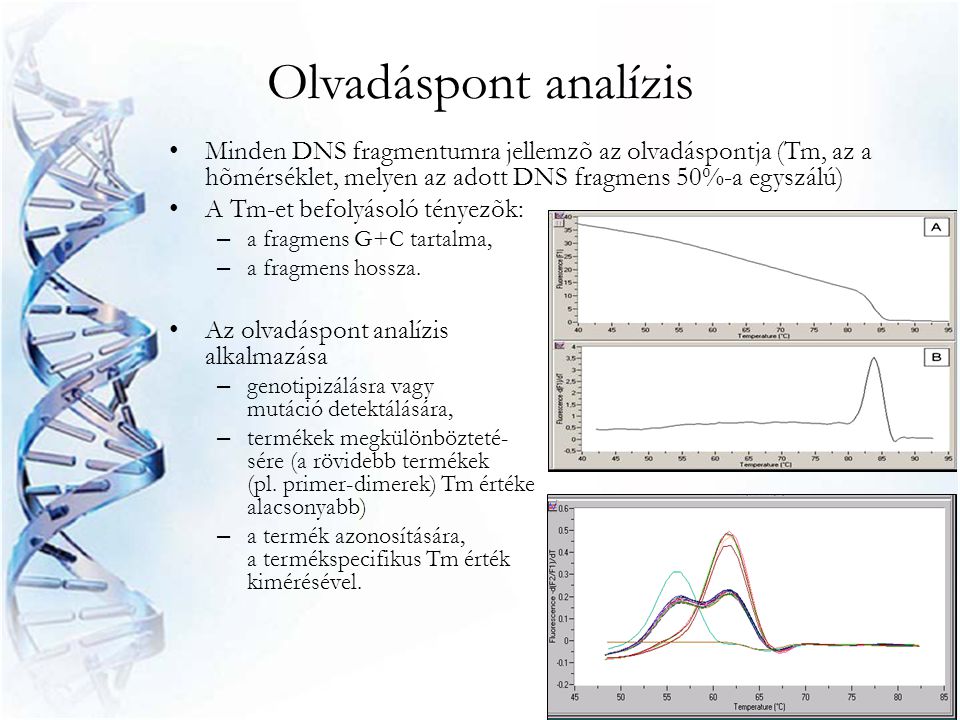 Olvadáspont analízis Minden DNS fragmentumra jellemzõ az olvadáspontja (Tm, az a hõmérséklet, melyen az adott DNS fragmens 50%-a egyszálú)