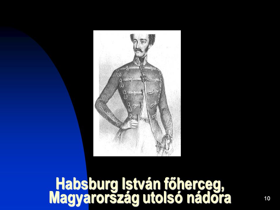 Habsburg István főherceg, Magyarország utolsó nádora