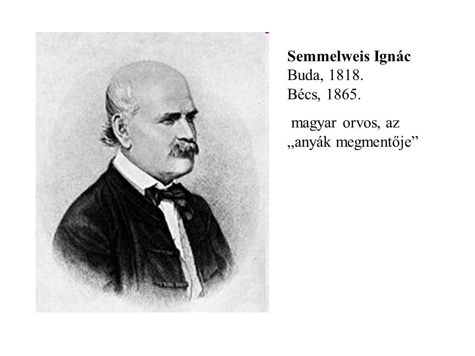 Semmelweis Ignác Buda, Bécs, 1865.