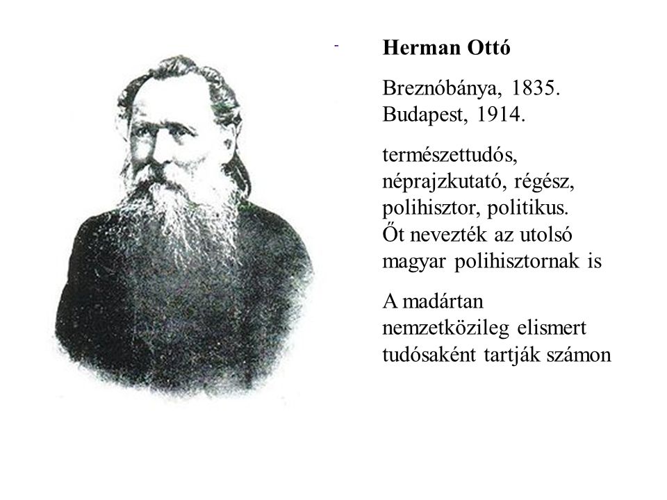 Herman Ottó Breznóbánya, Budapest,