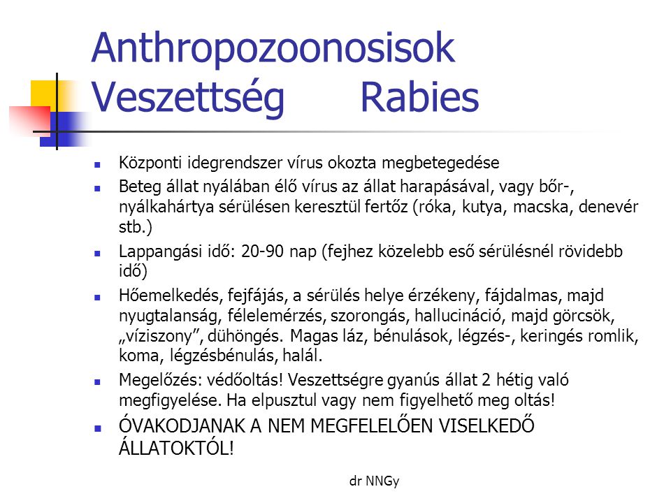 Anthropozoonosisok Veszettség Rabies