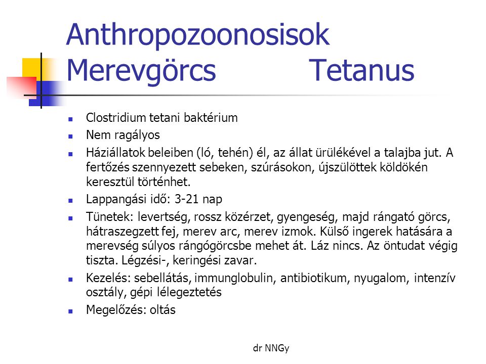 Anthropozoonosisok Merevgörcs Tetanus