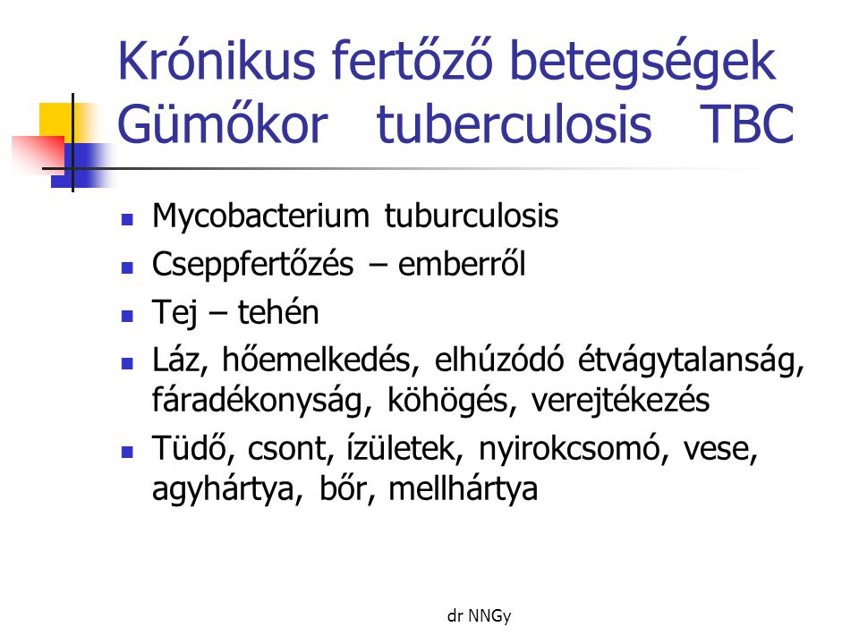 Krónikus fertőző betegségek Gümőkor tuberculosis TBC