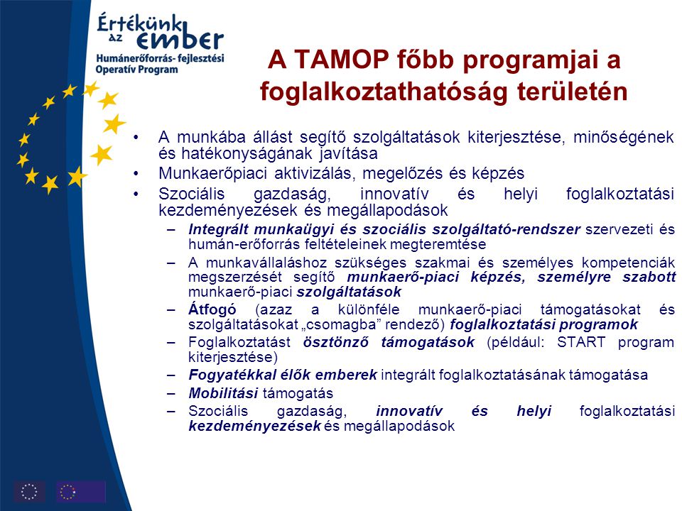 A TAMOP főbb programjai a foglalkoztathatóság területén