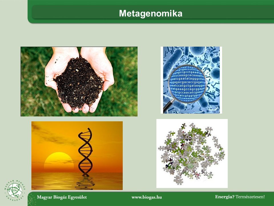 Metagenomika