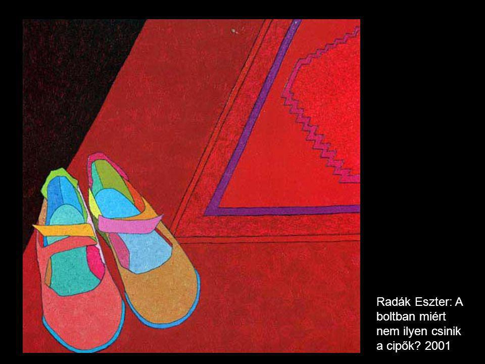 Radák Eszter: A boltban miért nem ilyen csinik a cipők 2001