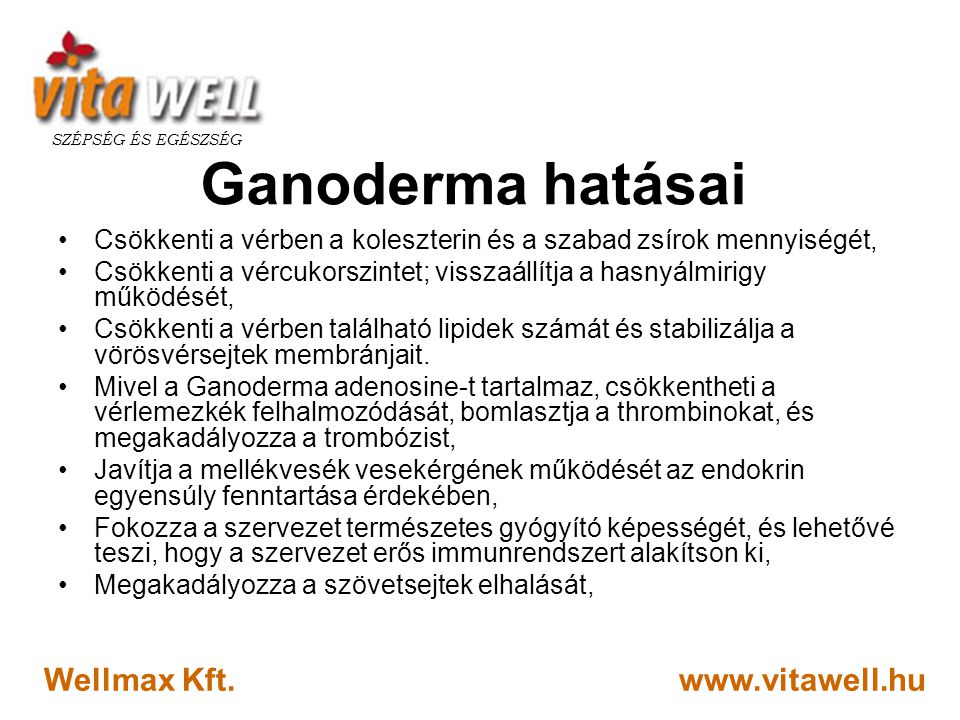 Ganoderma hatásai Wellmax Kft.