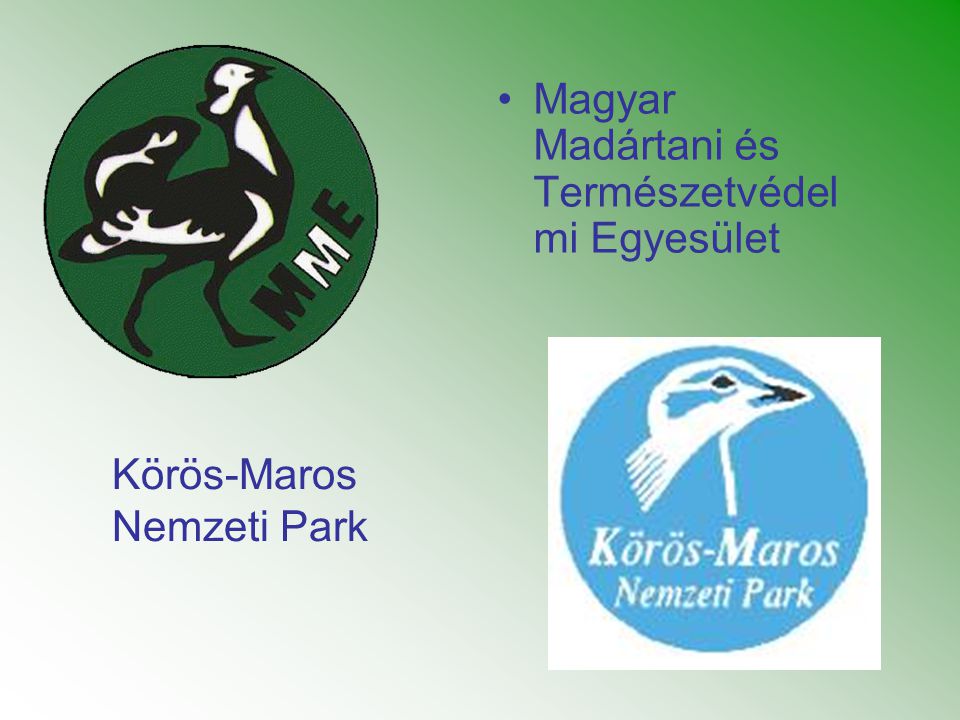 Magyar Madártani és Természetvédelmi Egyesület