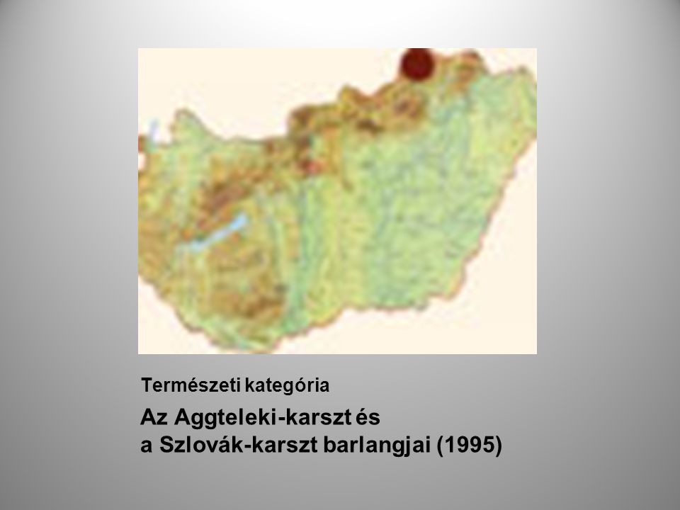 Az Aggteleki-karszt és a Szlovák-karszt barlangjai (1995)