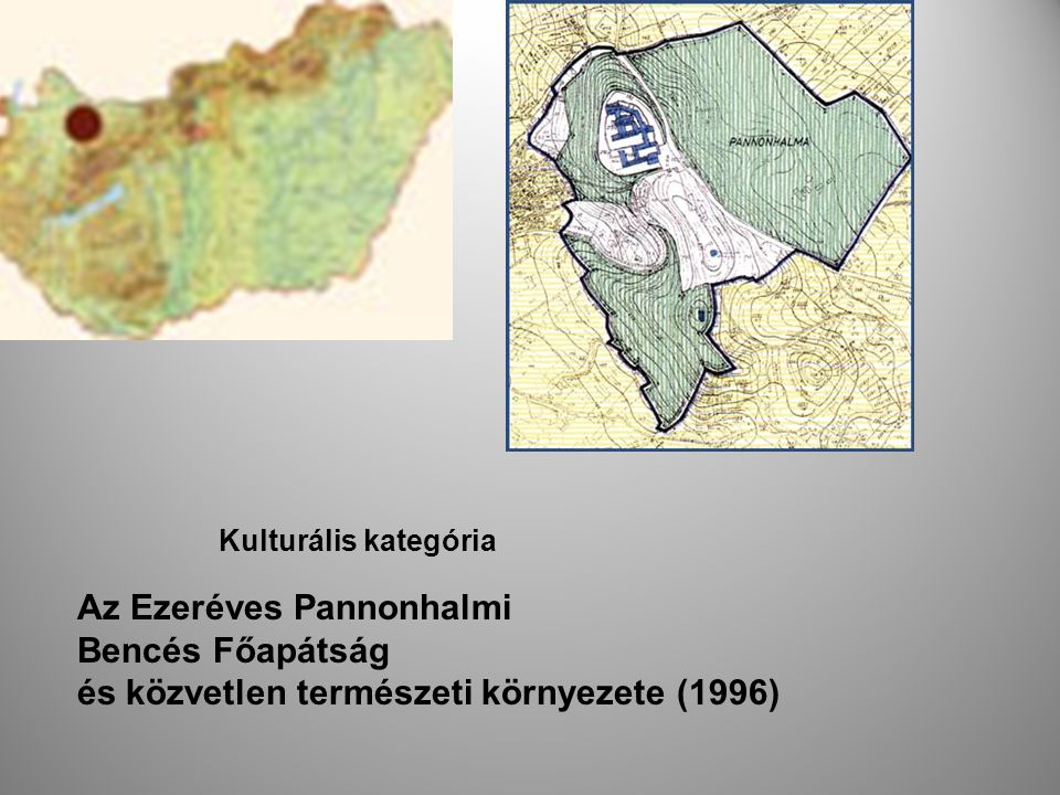 A valamikori Pannónia szent hegyének (Mons Sacer Pannoniae) monostora